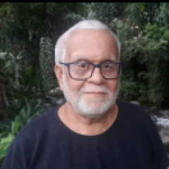 Carlos Rocha
